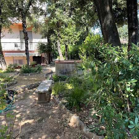 Giardino Sud - A Pochi Passi Dal Mare Daire San Vincenzo Dış mekan fotoğraf
