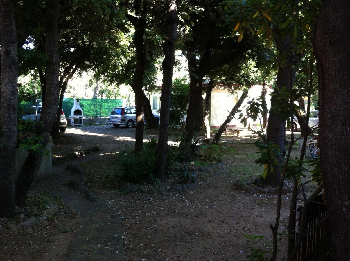 Giardino Sud - A Pochi Passi Dal Mare Daire San Vincenzo Dış mekan fotoğraf