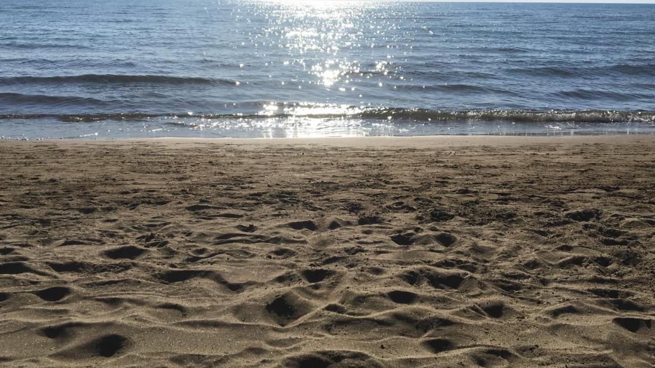 Giardino Sud - A Pochi Passi Dal Mare Daire San Vincenzo Dış mekan fotoğraf