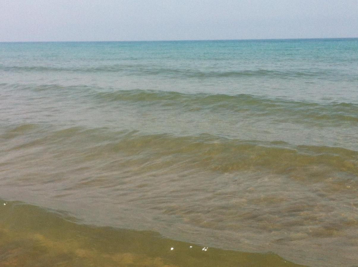 Giardino Sud - A Pochi Passi Dal Mare Daire San Vincenzo Dış mekan fotoğraf