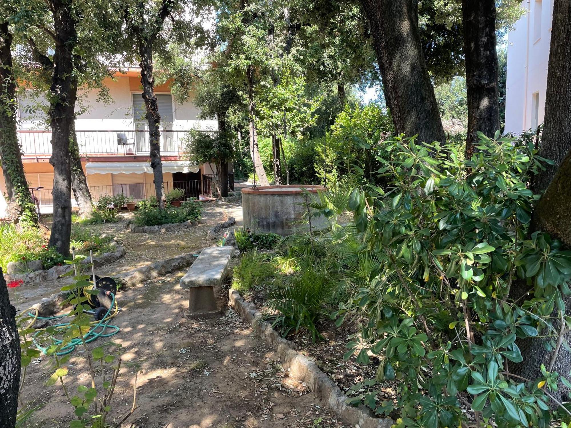 Giardino Sud - A Pochi Passi Dal Mare Daire San Vincenzo Dış mekan fotoğraf